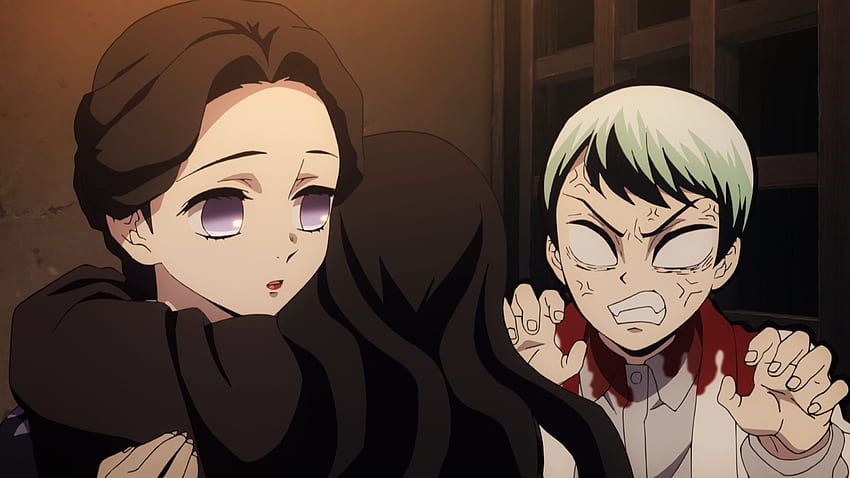 Toonami Faithful - Nezuko sees Lady Tamayo and Yushiro as her family and wanted to protect them even though they're demons HD wallpaper