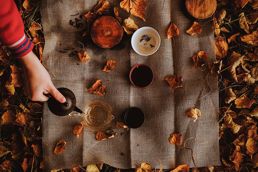 Есен, ръка, разни, разни, чай, чайник, чайник, пикник HD тапет