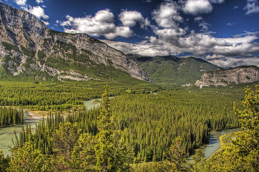 naturaleza, árboles, montañas, Canadá, r, Albert, Alberta, Banff fondo de pantalla