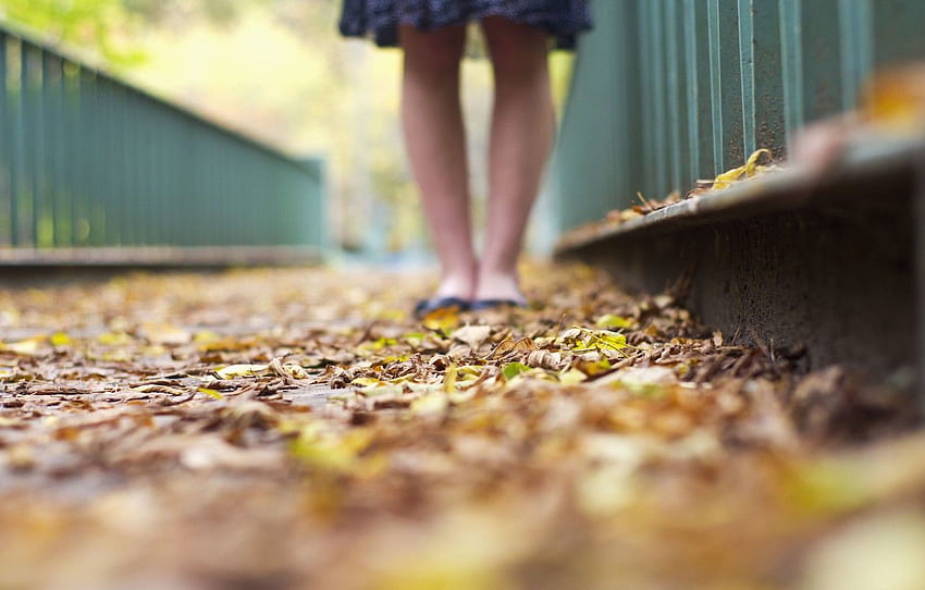 leaves, girl, macro, background, , feet, yellow, green, leaves, different, , full screen, , autumn for , section разное, Foot HD wallpaper