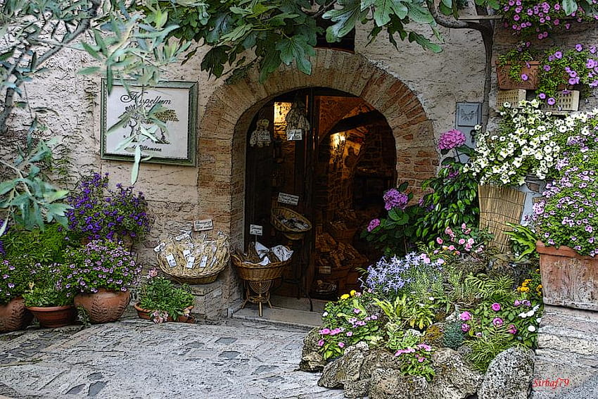 Flowers Shop - Italy, art , glass door, beautiful, flowers, stone house, stones, pots HD wallpaper