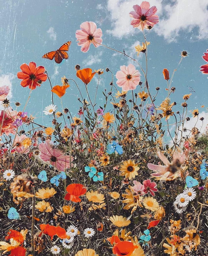 Inspired Hippie Life on Instagram: “Flowers for the soul, Hippie Aesthetic HD phone wallpaper