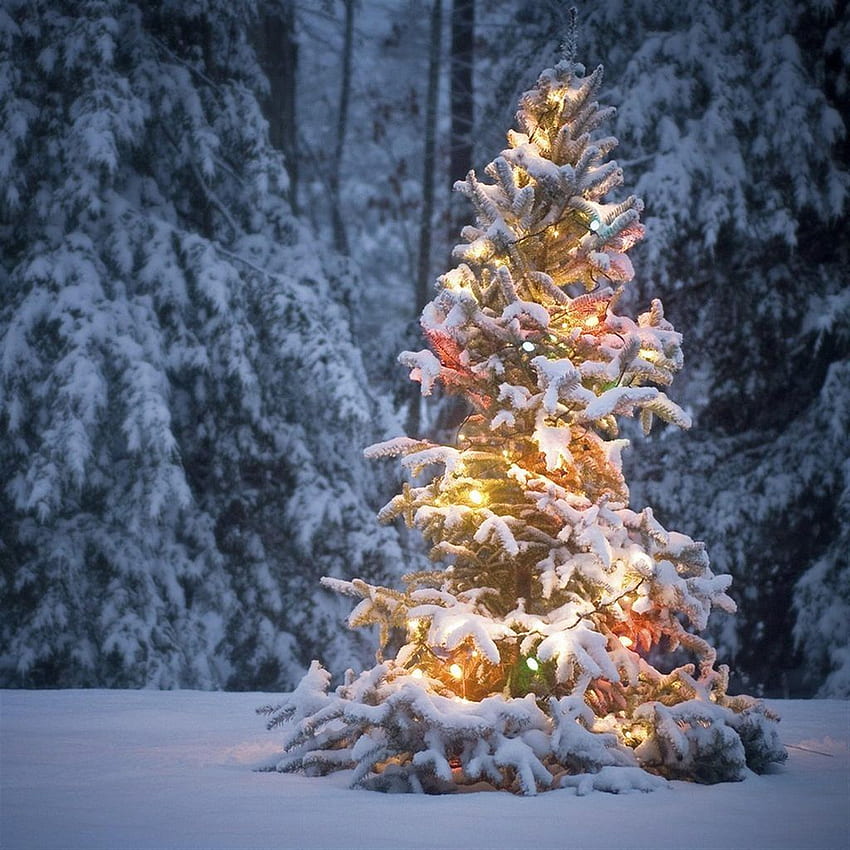 Luz de neón en el árbol de Navidad cubierto de nieve fondo de pantalla del teléfono