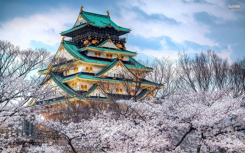 Kastil Osaka yang bagus Di Jepang Dengan Bunga Sakura. Luar Biasa Wallpaper HD
