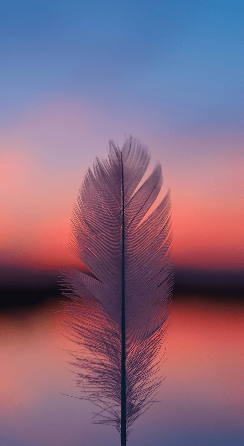 Feather, focus, blur, sunset . Pretty iphone, Sunset , Beautiful background, Powfu HD phone wallpaper