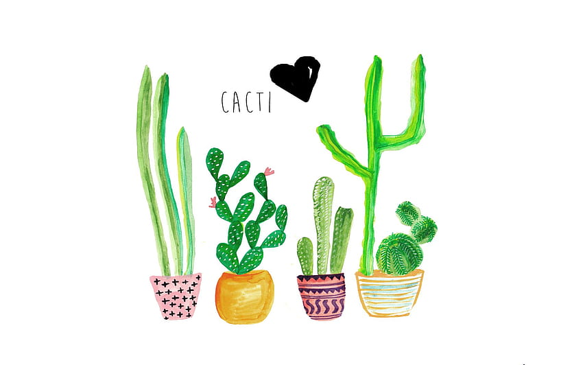 Current Trends Cacti, Cool Cactus HD wallpaper