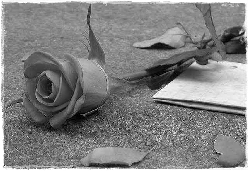 Broken Heart, rose, heart, broken, black and white HD wallpaper