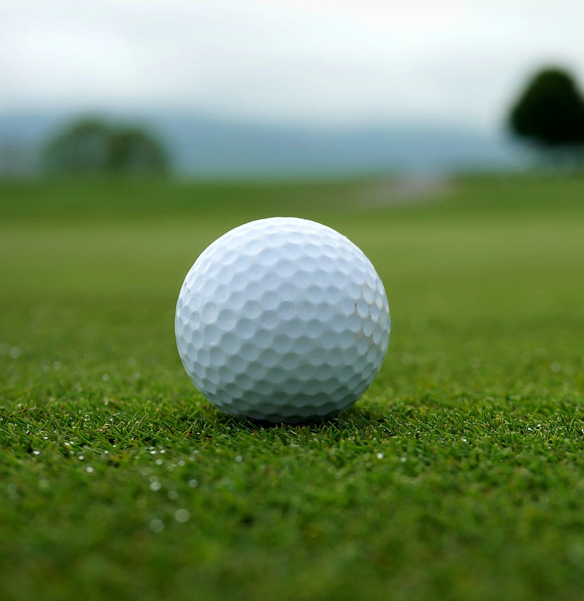 Golf ball, white, sports HD phone wallpaper