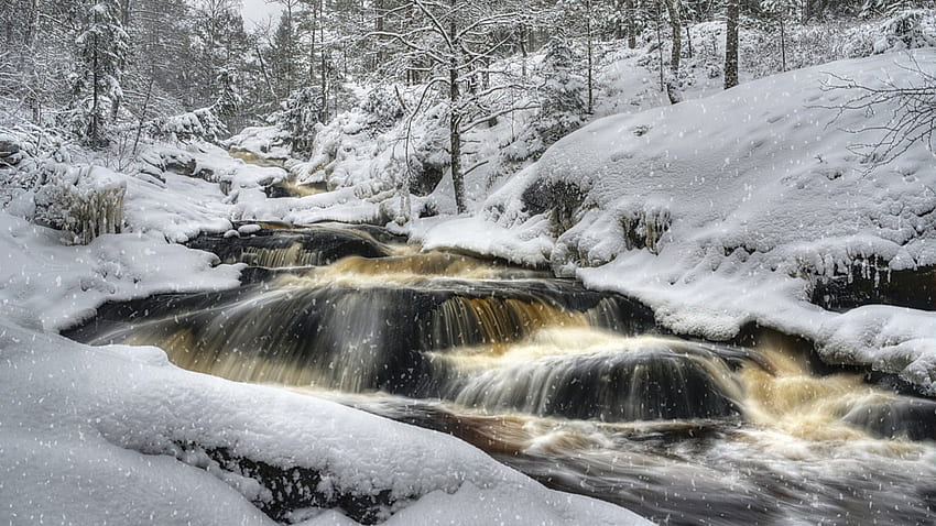 吹雪、冬、川、急流、雪、森の中の急速な川 高画質の壁紙