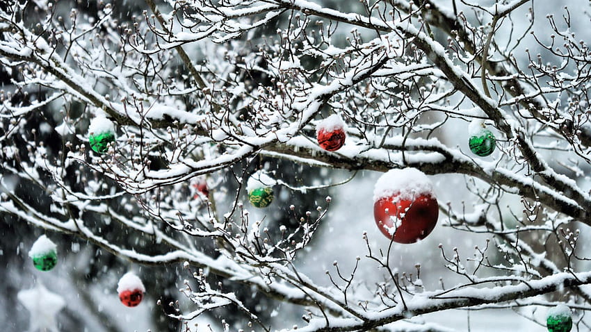 Feiertage, Neujahr, Schnee, Äste, Bälle HD-Hintergrundbild