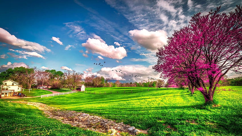 Springtime . Springtime, Springtime Nature HD wallpaper