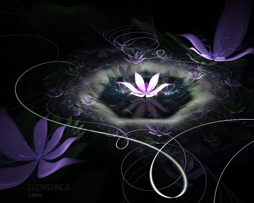 Lotus Flower, Purple Lotus HD wallpaper