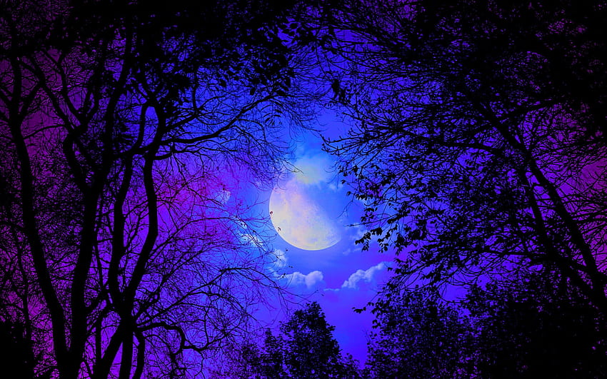 Forêt sombre avec lune, forêt violette Fond d'écran HD