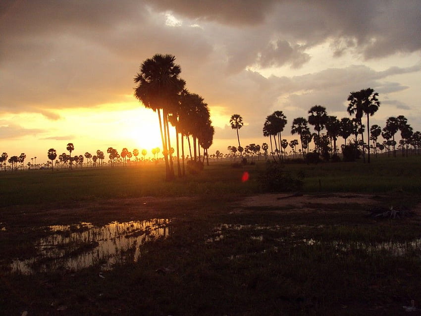 Cambodian Countryside is Backdrop of Battambang Resort, Khmer Countryside HD wallpaper