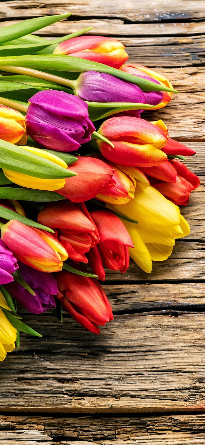 Blumenstrauß, Tulpen, Gelb, Orange, Lila, Holzbrett IPhone 11 Pro XS Max , Hintergrund, ,, Lila Orange Blume HD-Handy-Hintergrundbild