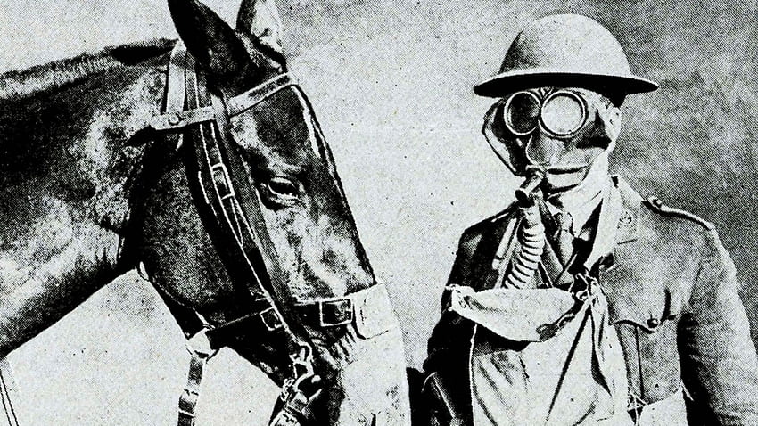 Gasmaskierter Soldat und Pferd - Erster Weltkrieg HD-Hintergrundbild