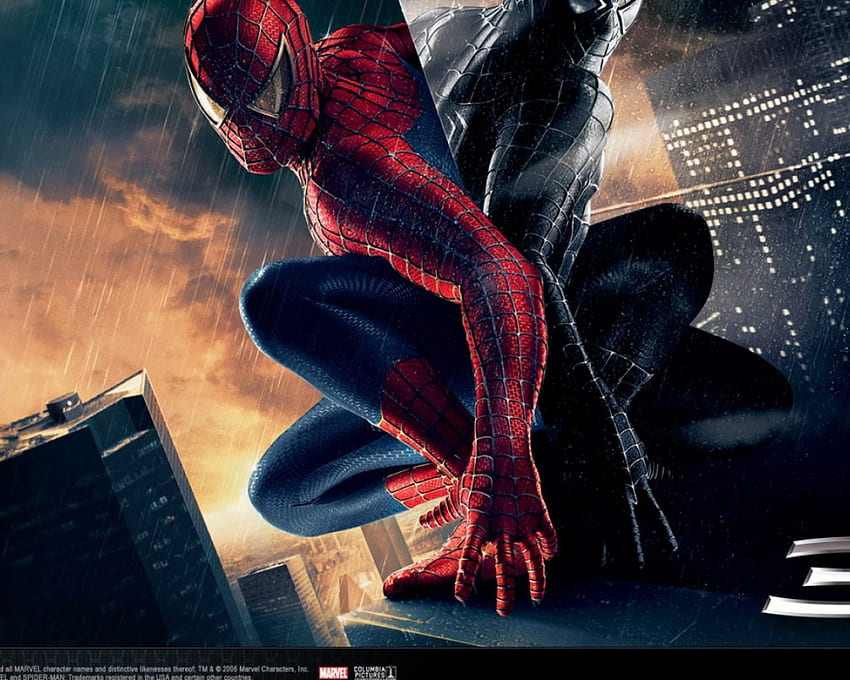 Twin spidy in same place, twin, spidy HD wallpaper