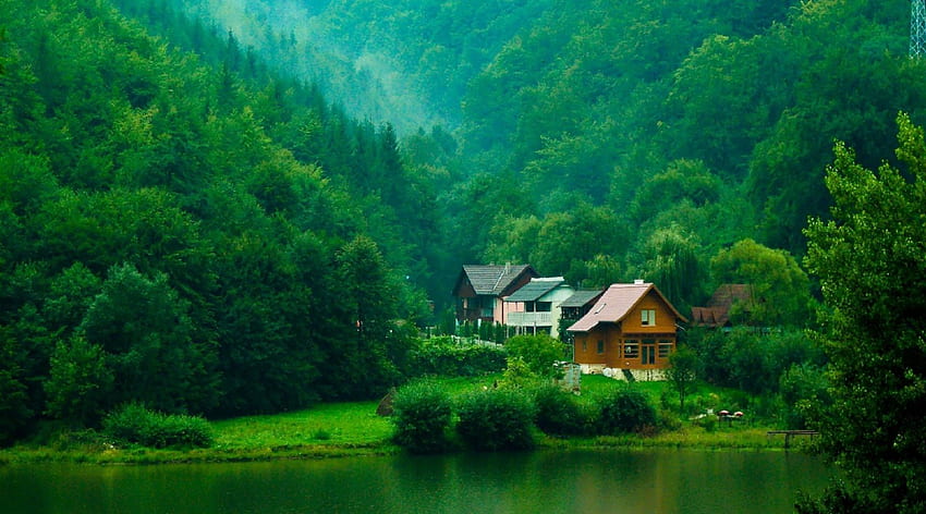 lake houses in the forest, rain, houses, forest, lake, mountain HD wallpaper