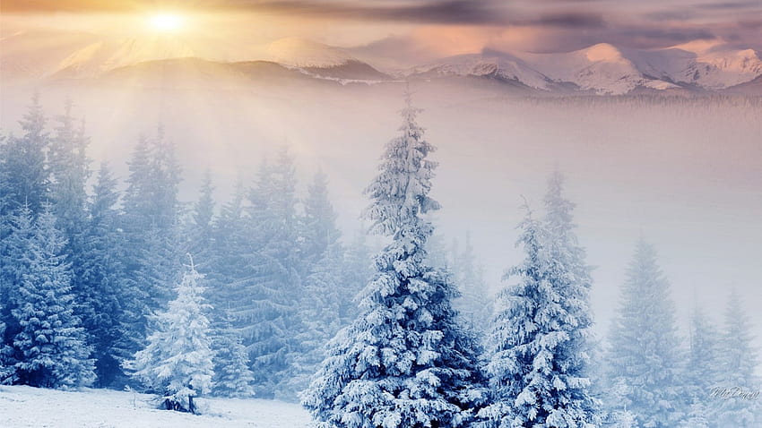 Amanecer sobre las montañas, pastel, país de las maravillas de invierno, amanecer, niebla, Navidad, nieve, árboles, cielo, montañas, bosque, puesta de sol fondo de pantalla