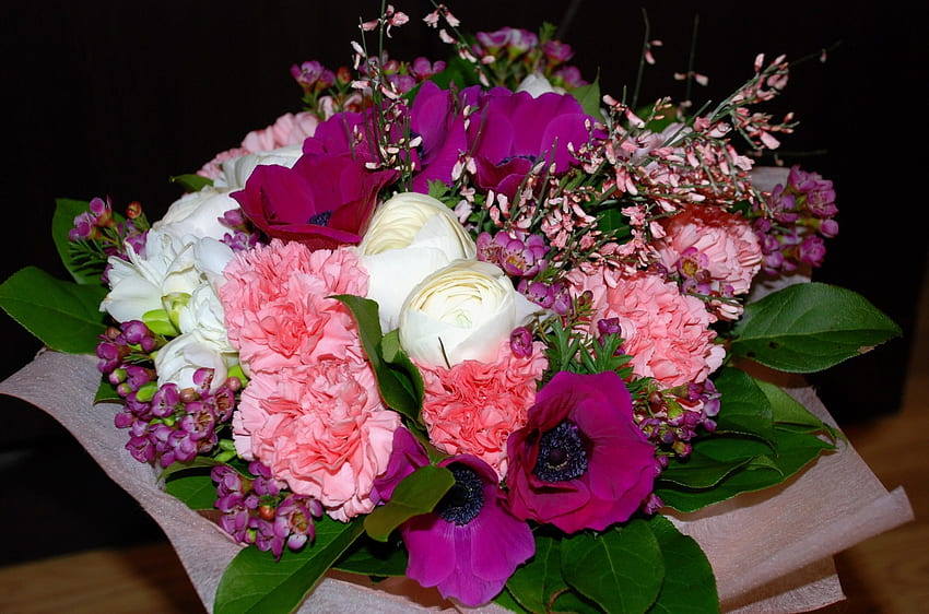 ดอกไม้ ใบไม้ คาร์เนชั่น ลงทะเบียน วิชาการพิมพ์ ช่อดอกไม้ องค์ประกอบ ดอกไม้ทะเล วอลล์เปเปอร์ HD