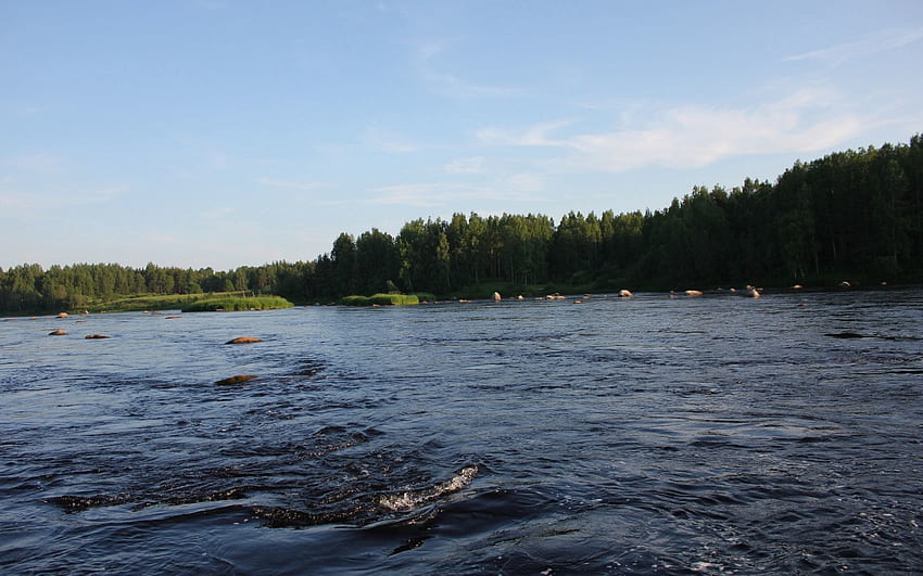 Nature, Rivers, Trees, Shore, Bank, Forest, Flow, Karelia HD wallpaper