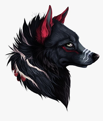 HD black wolf wallpapers | Peakpx
