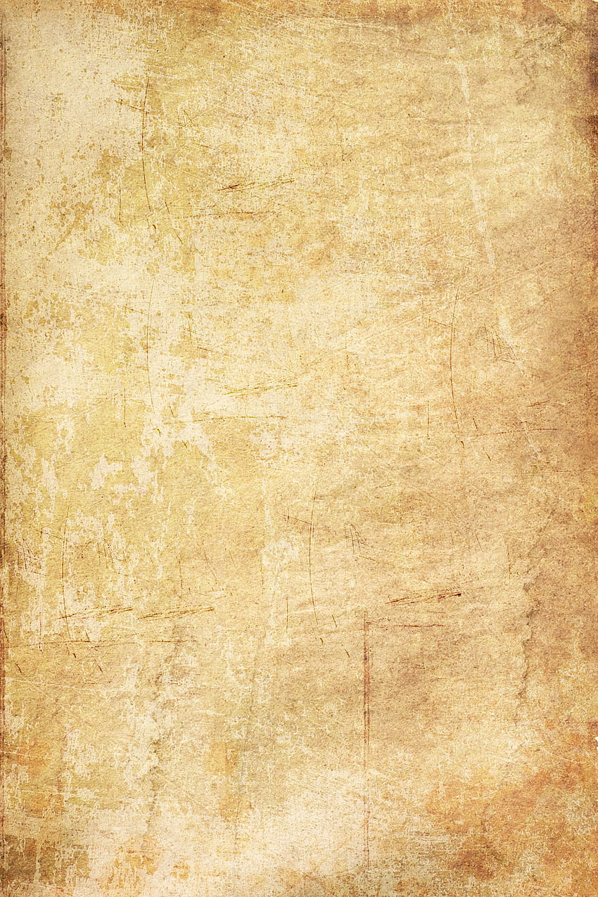 Papirus, papier papirusowy Tapeta na telefon HD
