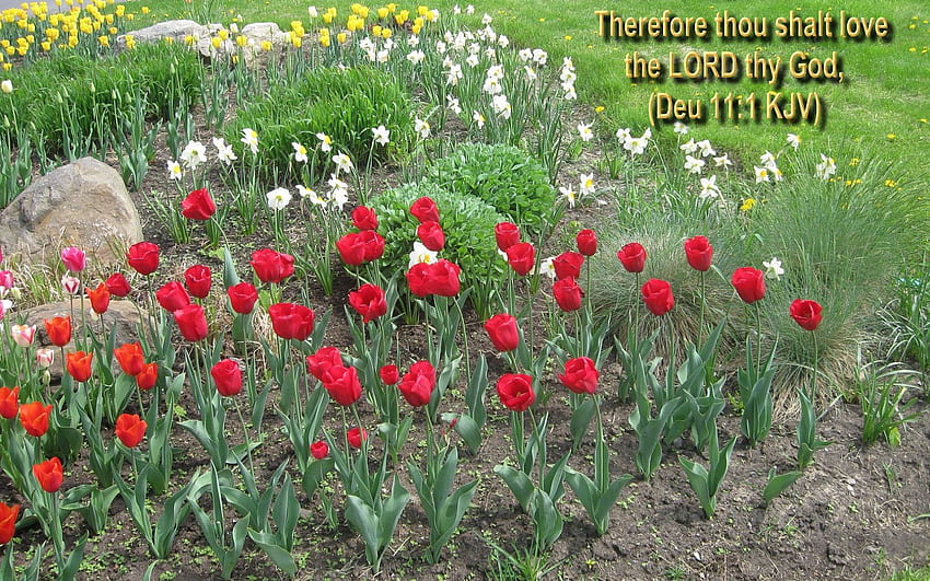 Пролетни цветя – стихове от Библията HD тапет