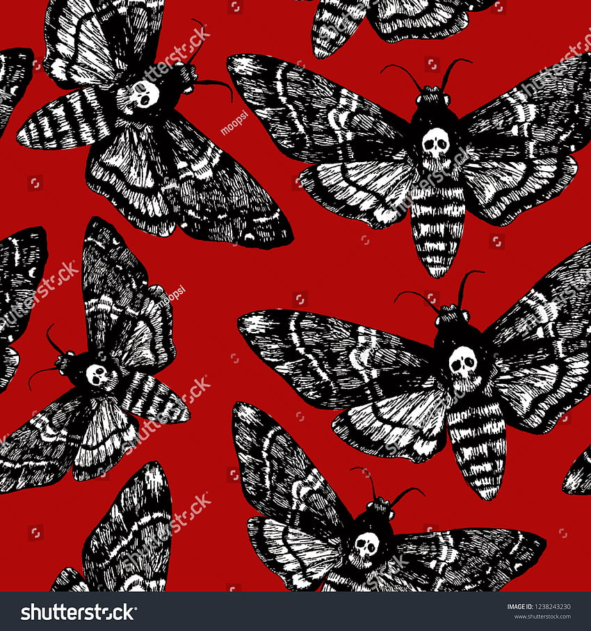 Death head moth, death head HD phone wallpaper