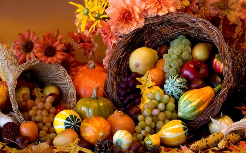 Thanksgiving Background , Thanksgiving Abstract HD wallpaper | Pxfuel