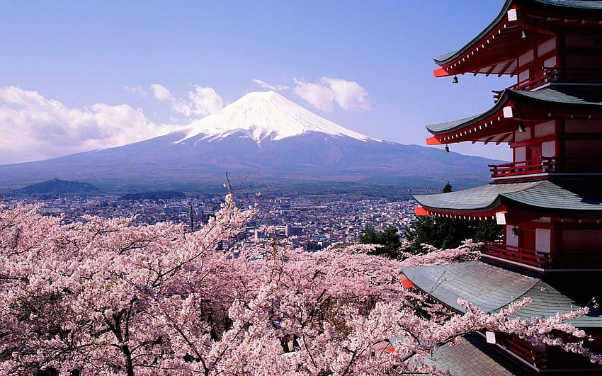 Japoński Ogród Kwitnącej Wiśni dla Kwitnącej Wiśni w Kioto Tapeta HD