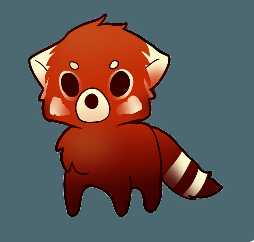 How to Draw a Red Panda  Easy Drawing Art