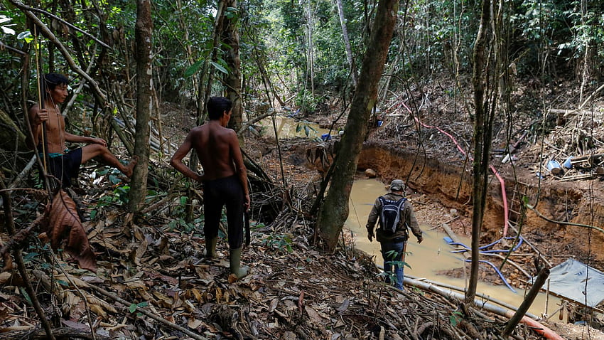 Il coronavirus colpisce la remota tribù amazzonica in Brasile mentre un ragazzo di 15 anni muore con COVID 19. Notizie dal mondo, foresta pluviale venezuelana Sfondo HD