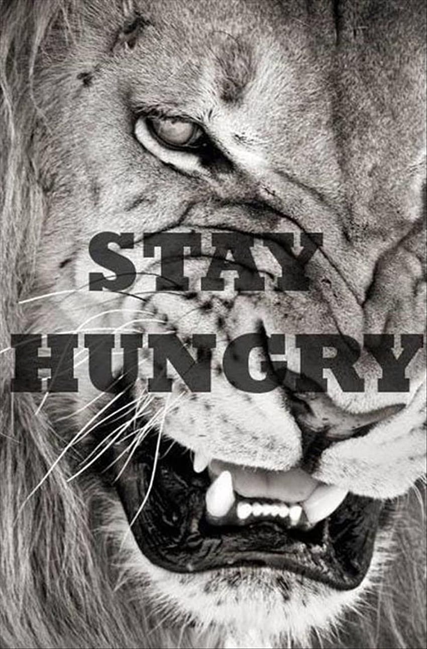 Citazioni del giorno, Stay Hungry Lion Sfondo del telefono HD