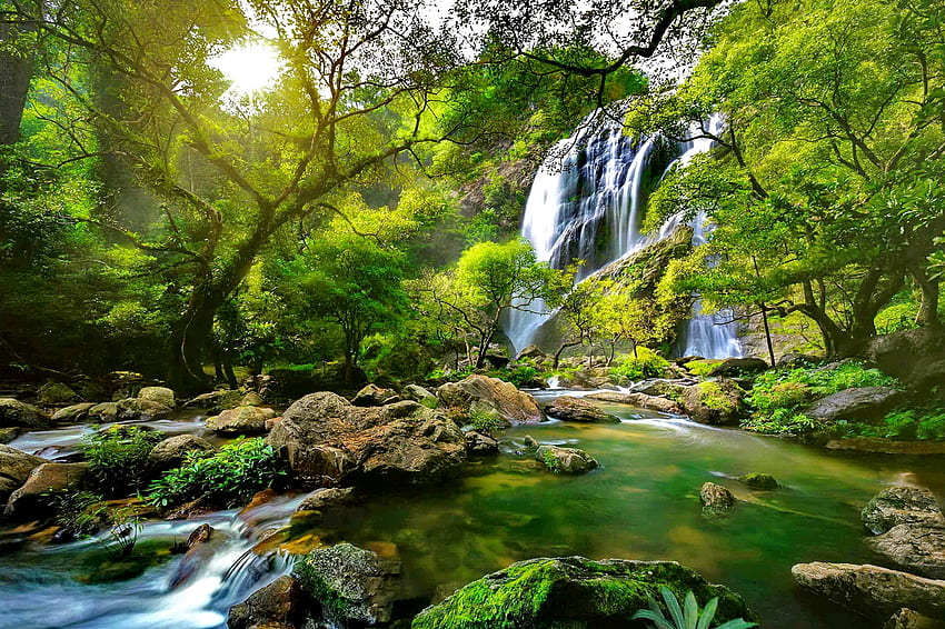 熱帯雨林、滝、緑、石、池、川、小川、小川、春、夏、枝、木、森 高画質の壁紙