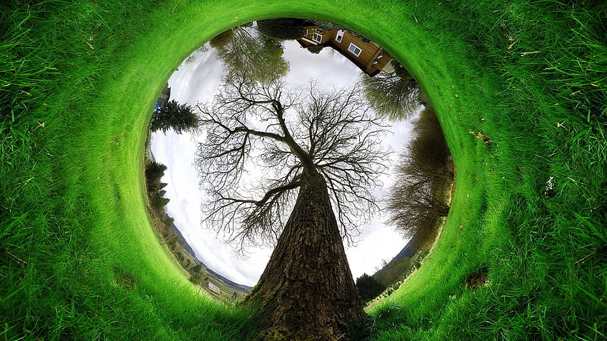 Удивителна природа на зелено дърво със сферична панорама - -, необикновено HD тапет