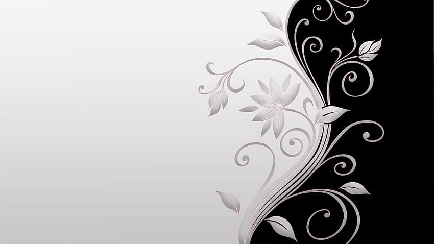 Background Elegant White, Simple Elegant HD wallpaper