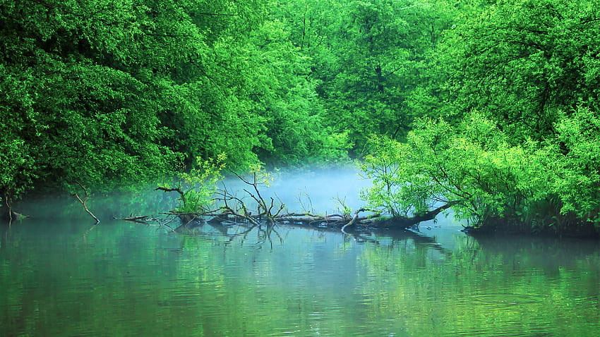 Pond in Forest . nature, nature , Beautiful nature , Natural HD ...