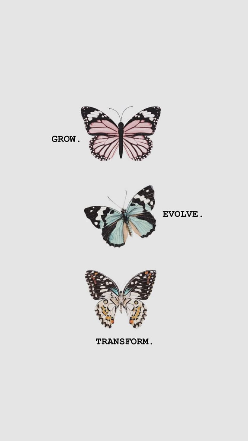 Mencintai diri sendiri. iPhone kupu-kupu, kutipan Kupu-kupu, latar belakang iPhone wallpaper ponsel HD