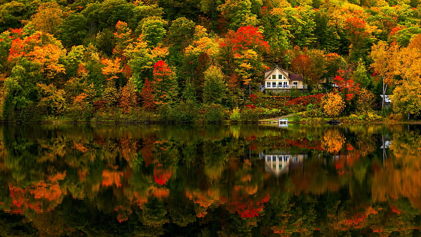 Devils River, Quebec, sonbahar, ağaçlar, renkler, orman, su, yansımalar, yapraklar, yazlık, Kanada HD duvar kağıdı