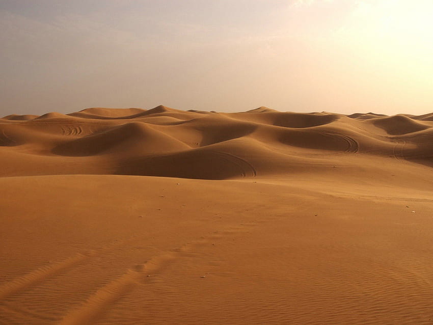 Desert, sand HD wallpaper