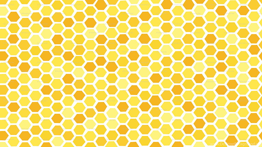 Latar Belakang Sarang Lebah Wallpaper HD