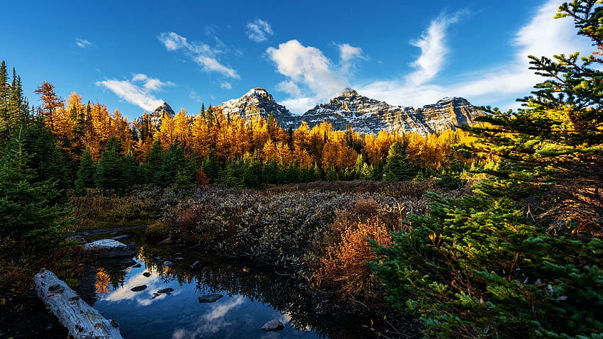 Larici dorati nella Valle dei Dieci Picchi, Moraine Lake, caduta, colori, autunno, alberi, cielo, Alberta, Canada, montagne, nuvole Sfondo HD