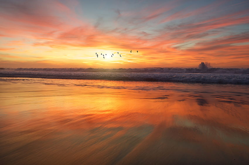 playa, naturaleza, marea, océano, puesta de sol, pájaro, vuelo, resplandor, orilla del mar, naranja, ola, reflejo, cielo, Creative Commons, costa, nube, balanceo, arena, amanecer, agua. Fresco fondo de pantalla