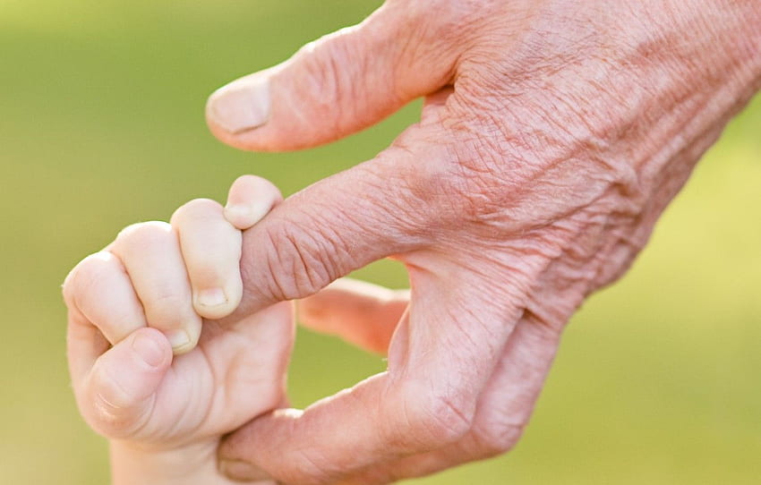 hands, fingers, grandfather, grandson for , section настроения HD wallpaper