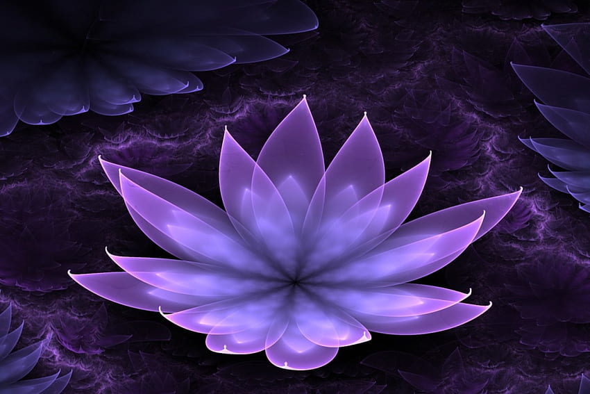 자주색 연꽃, 놀라운, Lotus, 멋진, 꽃, 자주색 HD 월페이퍼