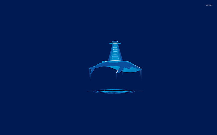 Whale abducted by aliens - Funny HD wallpaper