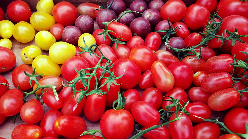 Food, Cherry, Vegetables, Tomatoes, Variety, Varieties HD wallpaper