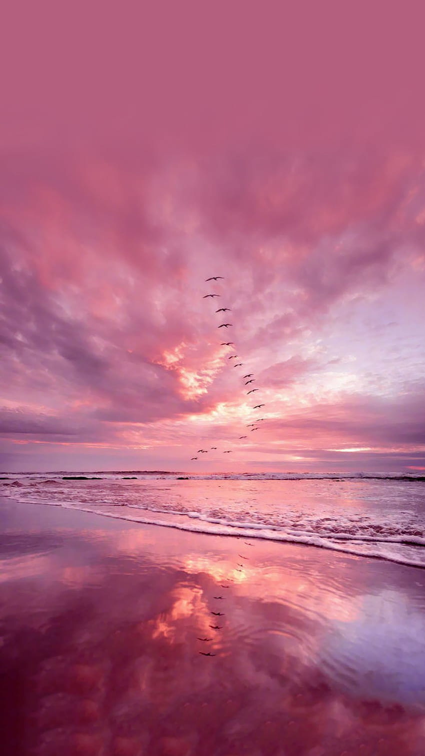 Pink sea & bird background . Pink background, Pink Ocean HD phone ...