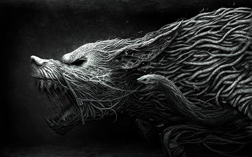 wolf, teeth, drawing, aggression, black, white 16:10 background, 1440X900 Wolf HD wallpaper